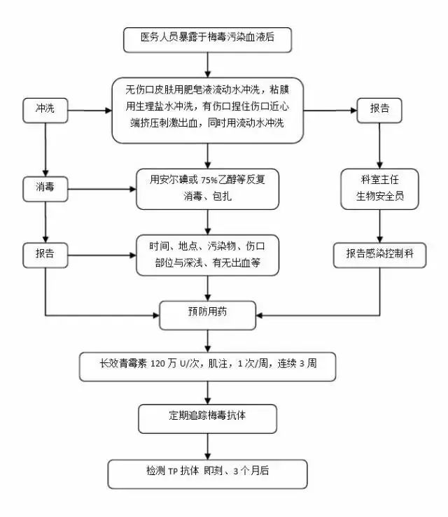 心里要点阳光 第5页