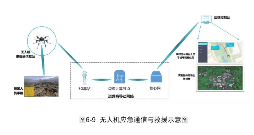 切片生物概念，深入理解与广泛应用