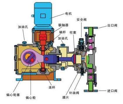 来了老弟 第5页