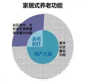 混合聚酯，定义、性质、应用与未来发展,持久性执行策略_经典款37.48.49