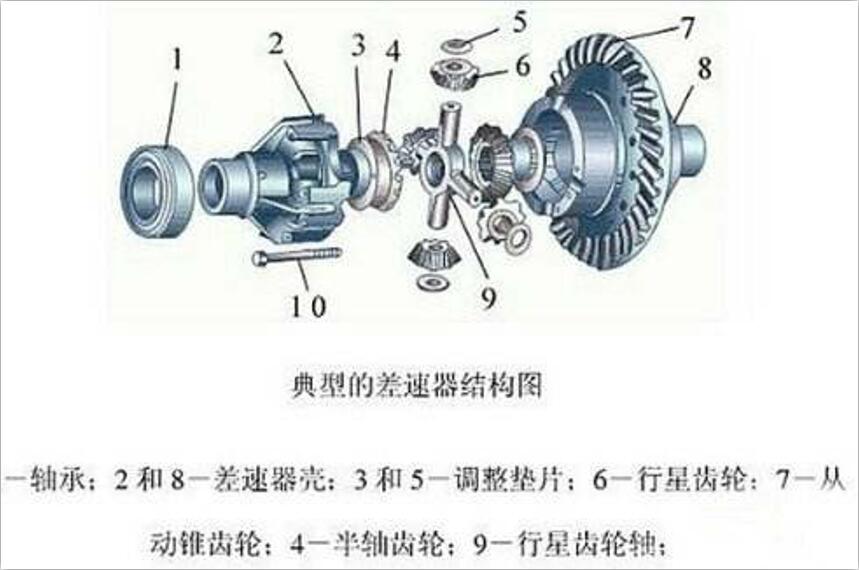 汽车后桥螺旋伞齿轮