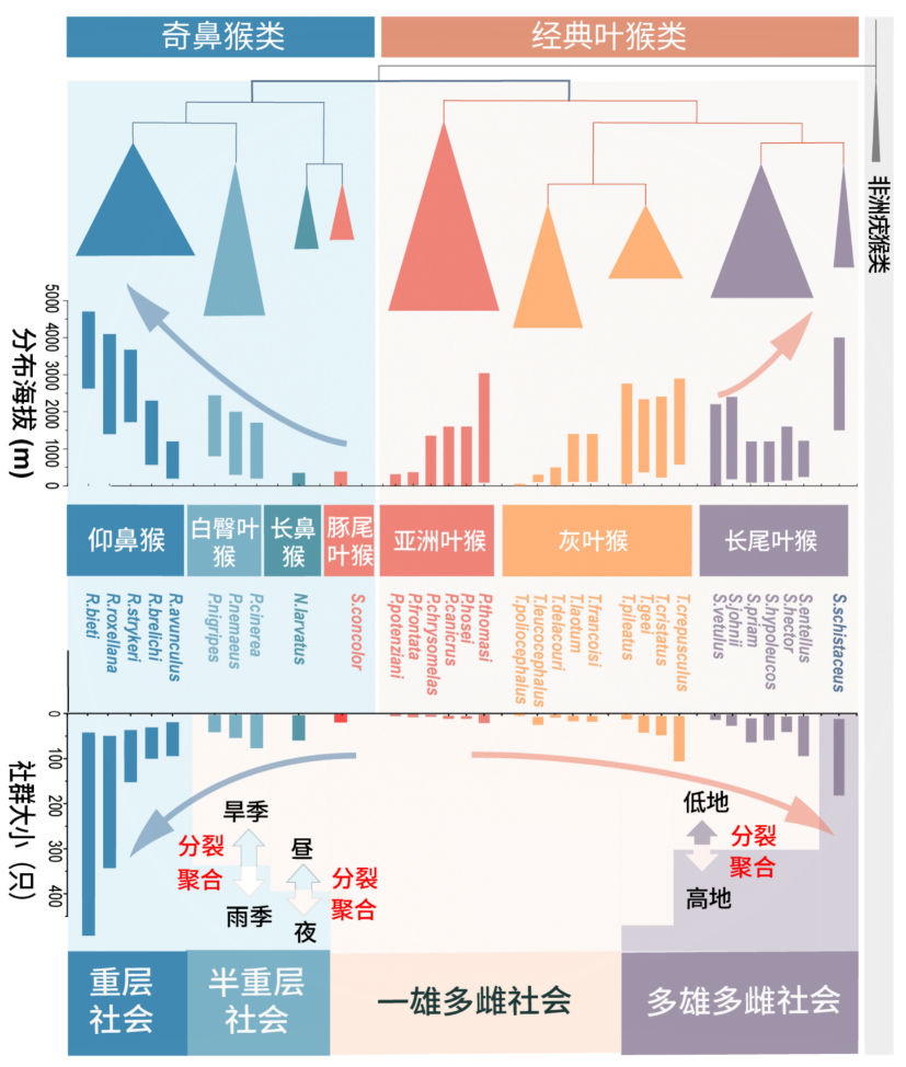 面板壳体与运动护具与船舶保温套的关系是