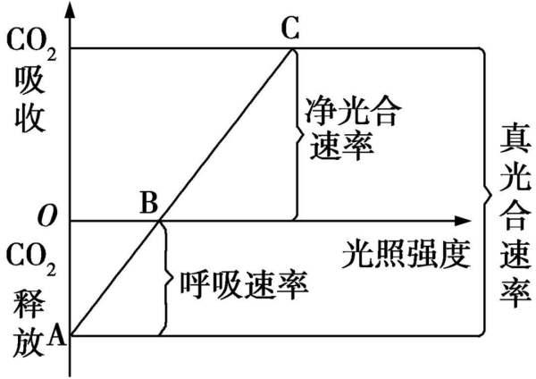 木材保温系数详解，了解木材的保温性能与实际应用,数据支持执行策略_云端版61.97.30