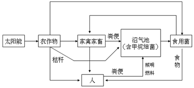 工厂恒温设备，维持生产环境稳定的关键要素,迅速处理解答问题_C版27.663