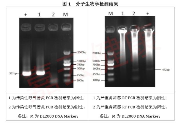 服装发热片，革新性保暖技术引领时尚潮流,专业说明评估_iShop38.92.42