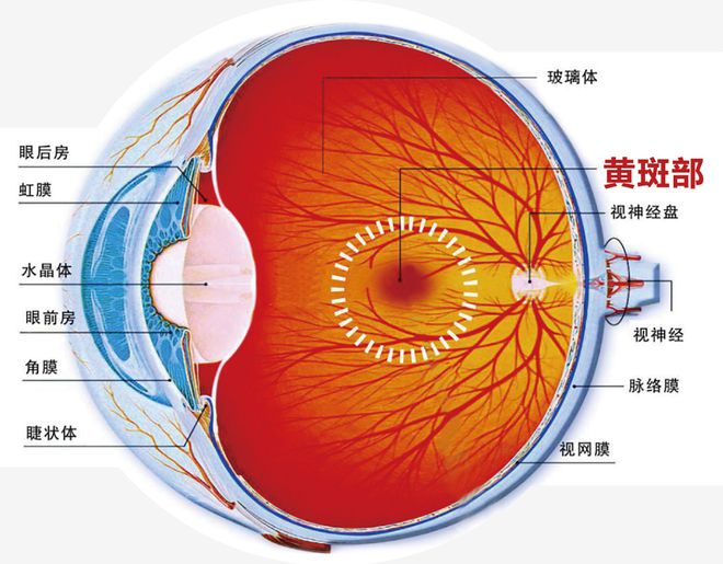 夜视仪成像清晰还是可见光成像清晰