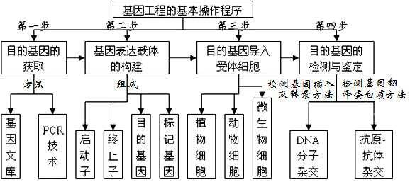 射线检测工业应用